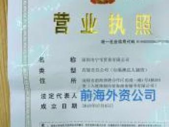 企業資產與服務的多元轉讓 深圳前海資本管理、外資公司、重慶翻譯與基礎軟件服務